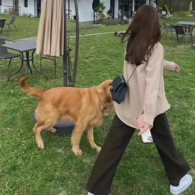 老陶工